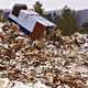 Illustration for article titled Suburban Recycling Program Now Accepting Broken and Discarded Dreams
